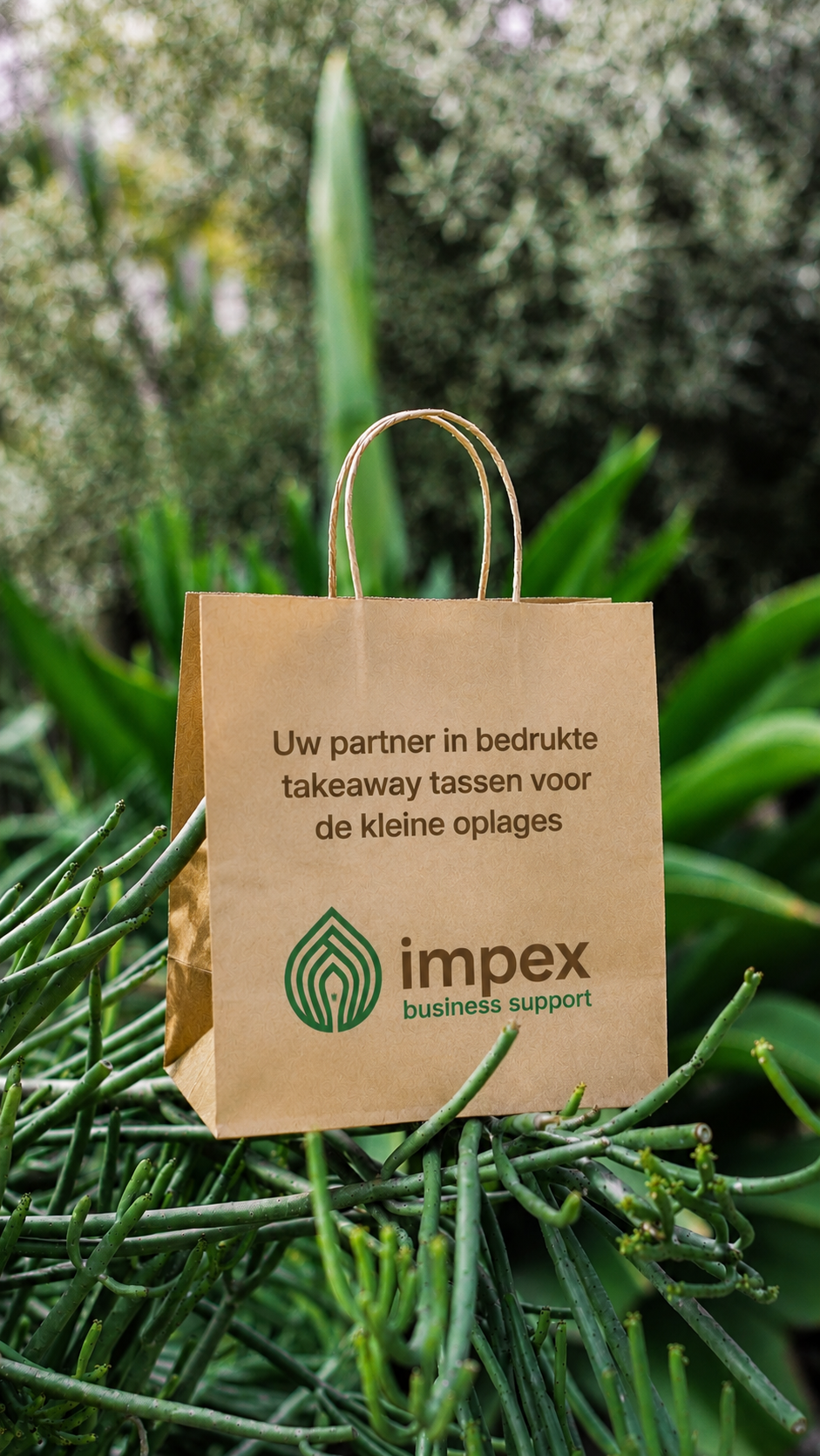 Home - Impex Business Support B.V.